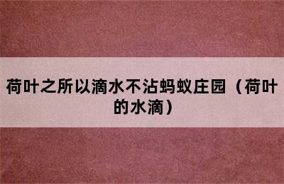 荷叶之所以滴水不沾蚂蚁庄园（荷叶的水滴）