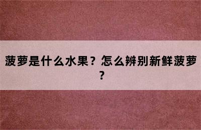 菠萝是什么水果？怎么辨别新鲜菠萝？