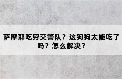 萨摩耶吃穷交警队？这狗狗太能吃了吗？怎么解决？