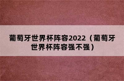 葡萄牙世界杯阵容2022（葡萄牙世界杯阵容强不强）