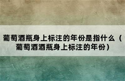 葡萄酒瓶身上标注的年份是指什么（葡萄酒酒瓶身上标注的年份）