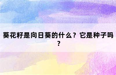 葵花籽是向日葵的什么？它是种子吗？