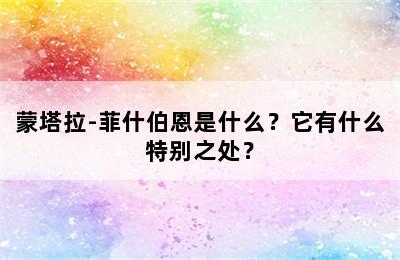 蒙塔拉-菲什伯恩是什么？它有什么特别之处？