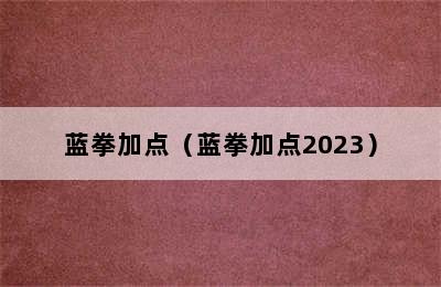 蓝拳加点（蓝拳加点2023）