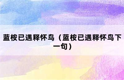 蓝桉已遇释怀鸟（蓝桉已遇释怀鸟下一句）