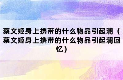 蔡文姬身上携带的什么物品引起澜（蔡文姬身上携带的什么物品引起澜回忆）