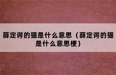 薛定谔的猫是什么意思（薛定谔的猫是什么意思梗）