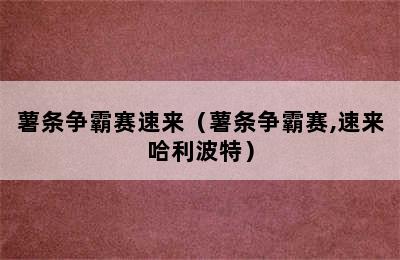 薯条争霸赛速来（薯条争霸赛,速来哈利波特）