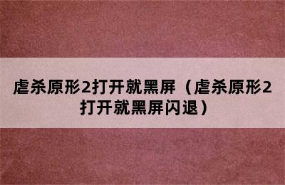 虐杀原形2打开就黑屏（虐杀原形2打开就黑屏闪退）