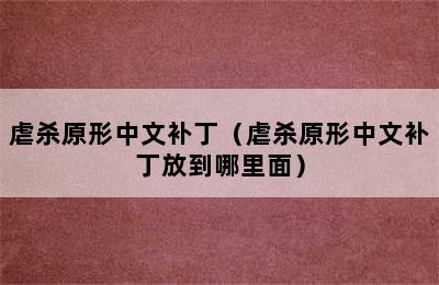 虐杀原形中文补丁（虐杀原形中文补丁放到哪里面）