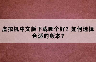 虚拟机中文版下载哪个好？如何选择合适的版本？