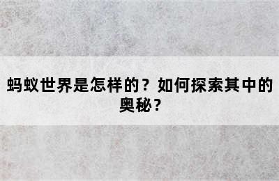 蚂蚁世界是怎样的？如何探索其中的奥秘？