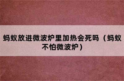 蚂蚁放进微波炉里加热会死吗（蚂蚁不怕微波炉）