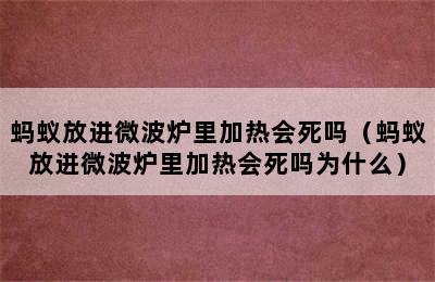 蚂蚁放进微波炉里加热会死吗（蚂蚁放进微波炉里加热会死吗为什么）