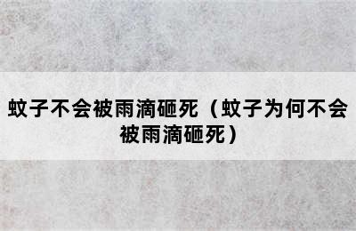 蚊子不会被雨滴砸死（蚊子为何不会被雨滴砸死）