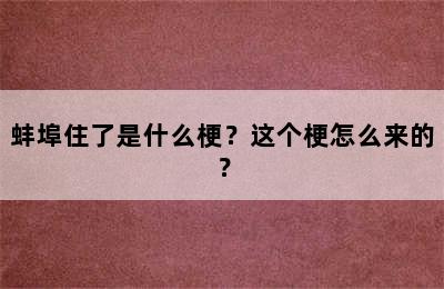 蚌埠住了是什么梗？这个梗怎么来的？