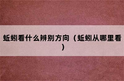 蚯蚓看什么辨别方向（蚯蚓从哪里看）