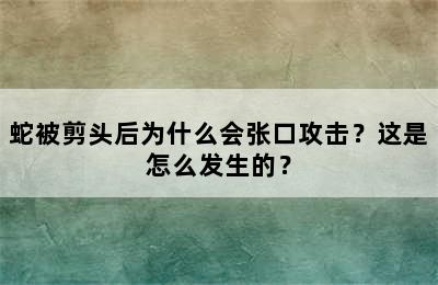 蛇被剪头后为什么会张口攻击？这是怎么发生的？