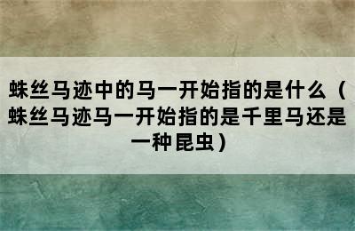 蛛丝马迹中的马一开始指的是什么（蛛丝马迹马一开始指的是千里马还是一种昆虫）