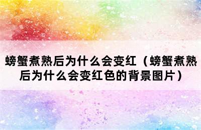 螃蟹煮熟后为什么会变红（螃蟹煮熟后为什么会变红色的背景图片）