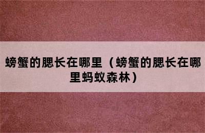 螃蟹的腮长在哪里（螃蟹的腮长在哪里蚂蚁森林）