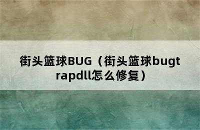 街头篮球BUG（街头篮球bugtrapdll怎么修复）