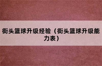 街头篮球升级经验（街头篮球升级能力表）