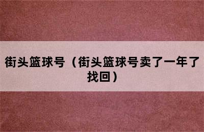 街头篮球号（街头篮球号卖了一年了找回）