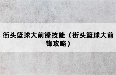 街头篮球大前锋技能（街头篮球大前锋攻略）