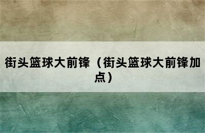 街头篮球大前锋（街头篮球大前锋加点）