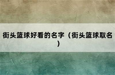 街头篮球好看的名字（街头篮球取名）