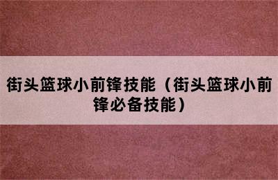 街头篮球小前锋技能（街头篮球小前锋必备技能）