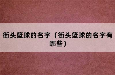 街头篮球的名字（街头篮球的名字有哪些）