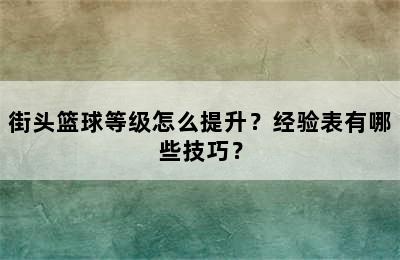 街头篮球等级怎么提升？经验表有哪些技巧？