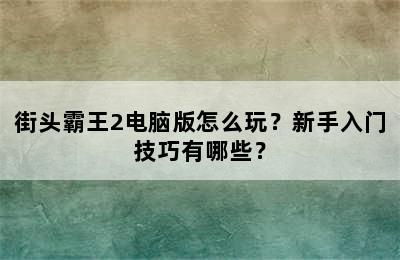 街头霸王2电脑版怎么玩？新手入门技巧有哪些？