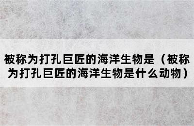 被称为打孔巨匠的海洋生物是（被称为打孔巨匠的海洋生物是什么动物）