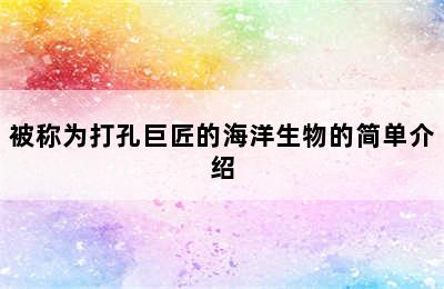 被称为打孔巨匠的海洋生物的简单介绍