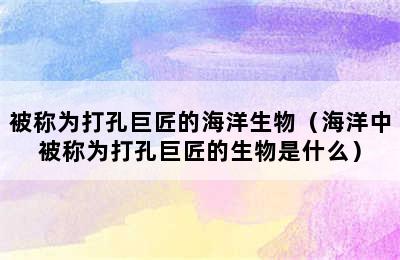 被称为打孔巨匠的海洋生物（海洋中被称为打孔巨匠的生物是什么）