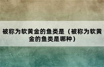 被称为软黄金的鱼类是（被称为软黄金的鱼类是哪种）