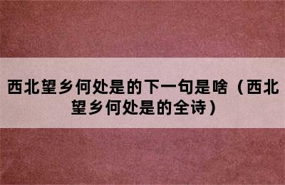 西北望乡何处是的下一句是啥（西北望乡何处是的全诗）