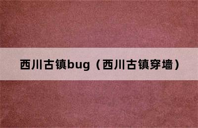 西川古镇bug（西川古镇穿墙）