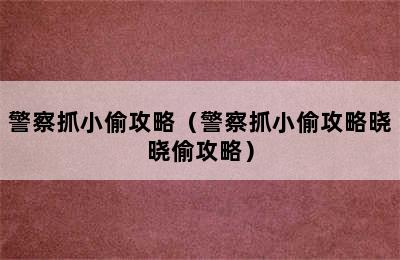 警察抓小偷攻略（警察抓小偷攻略晓晓偷攻略）