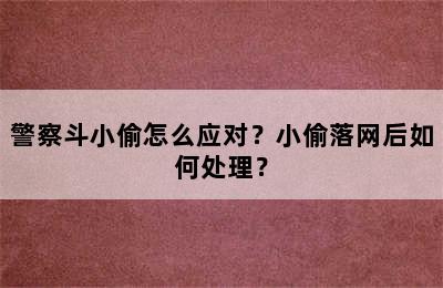 警察斗小偷怎么应对？小偷落网后如何处理？