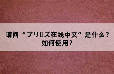 请问“プリーズ在线中文”是什么？如何使用？