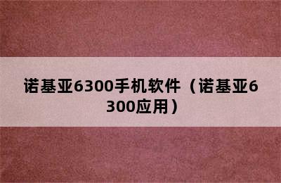 诺基亚6300手机软件（诺基亚6300应用）