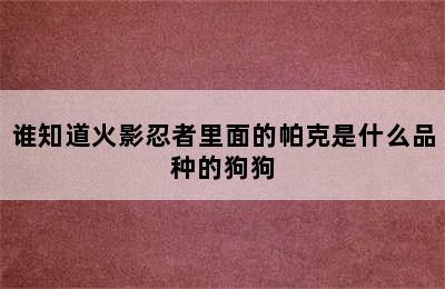 谁知道火影忍者里面的帕克是什么品种的狗狗