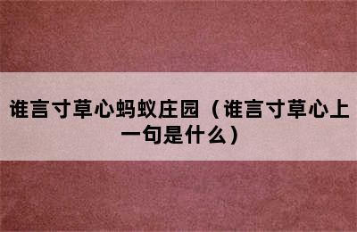 谁言寸草心蚂蚁庄园（谁言寸草心上一句是什么）