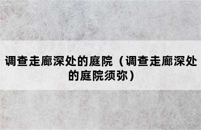 调查走廊深处的庭院（调查走廊深处的庭院须弥）