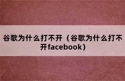 谷歌为什么打不开（谷歌为什么打不开facebook）