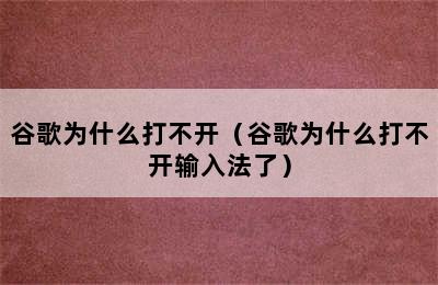 谷歌为什么打不开（谷歌为什么打不开输入法了）